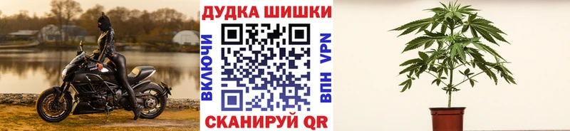 Купить закладку Лянтор ГАШИШ  COCAIN  Меф 