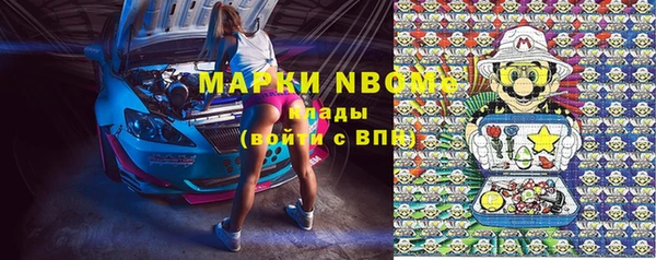 прущие грибы Аркадак