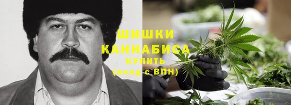 твердый Арсеньев