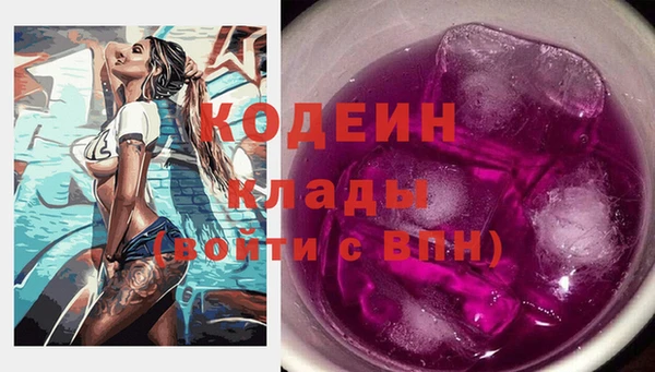 прущие грибы Аркадак