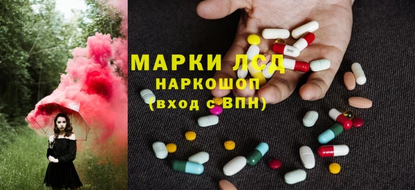 прущие грибы Аркадак