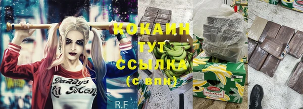 прущие грибы Аркадак