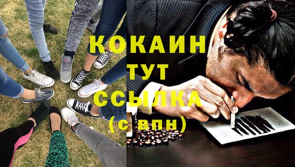 прущие грибы Аркадак