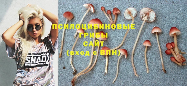 твердый Арсеньев