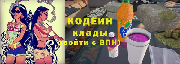 прущие грибы Аркадак