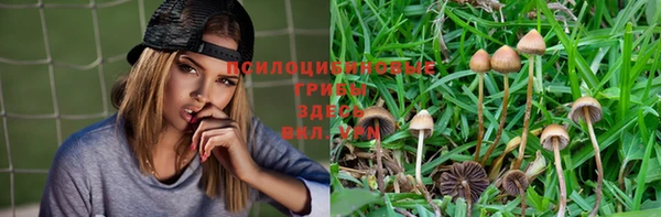 твердый Арсеньев