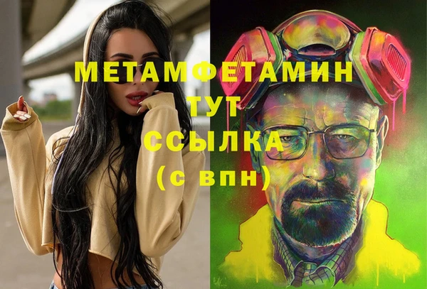 прущие грибы Аркадак