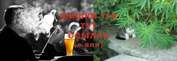 прущие грибы Аркадак